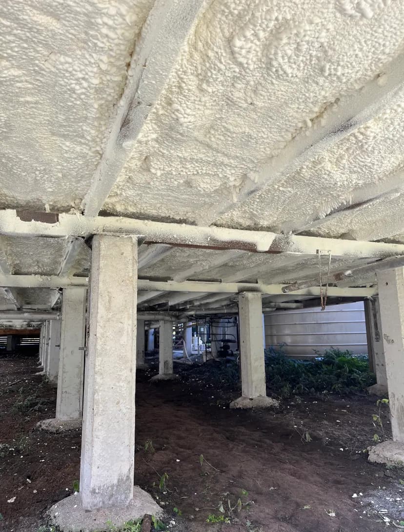 Raised timber home with an accessible subfloor for insulation