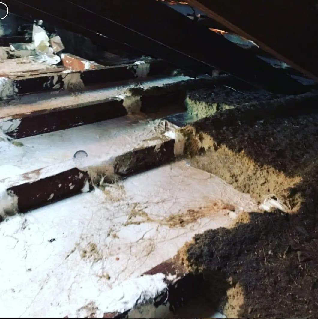 Installer using a vacuum hose to extract old insulation from a roof space