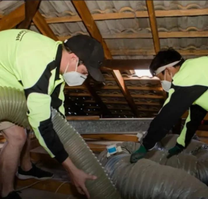 Two technicians in masks guiding a large vacuum hose through a roof space